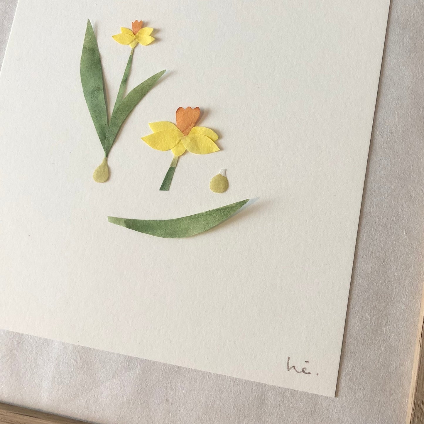 Daffodil / March flower