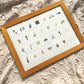 ABC washi print