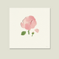 Birth Flowers