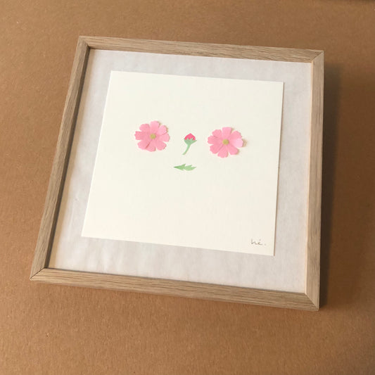 Cosmos / October flower