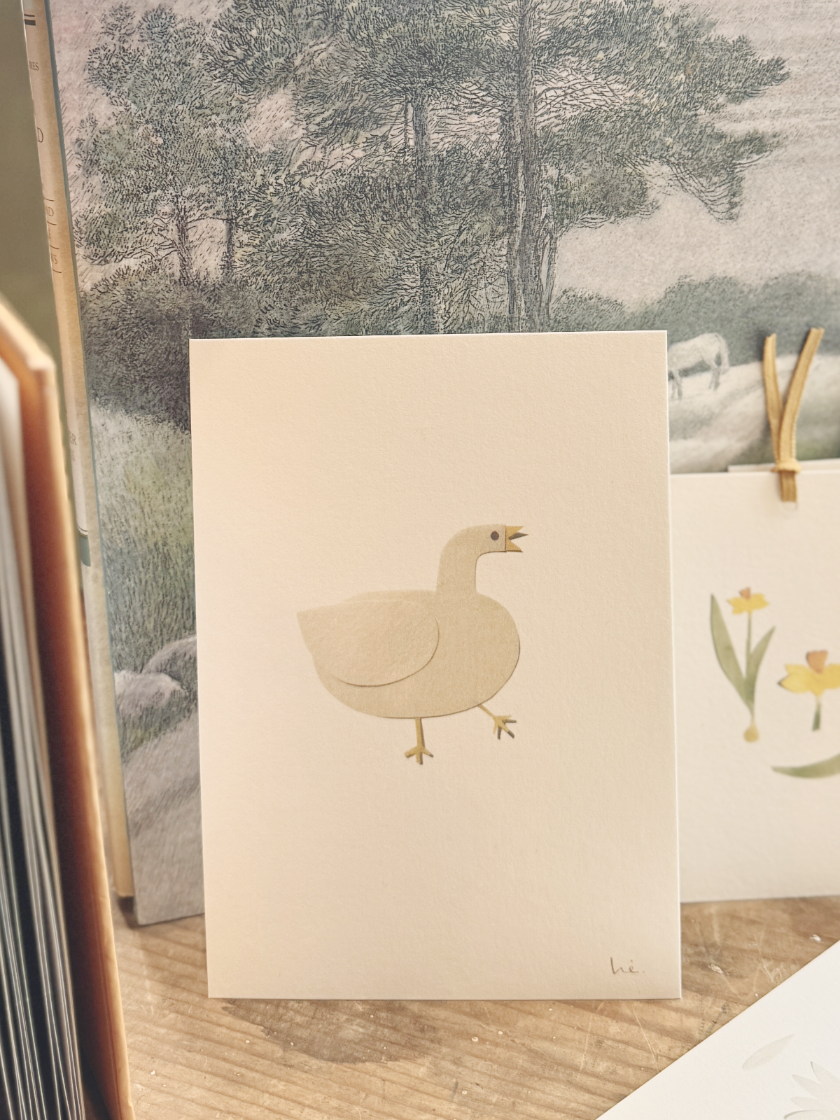 White duck