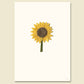 Sunflower poster