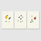 Fruit / strawberry, blueberry & lemon