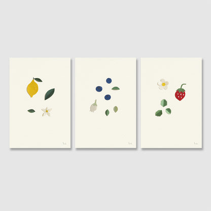 Fruit