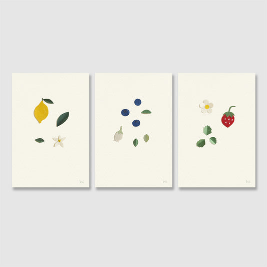 Fruit
