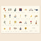 Alphabet poster