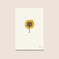 Ohana / Flower