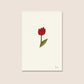 Ohana / Flower