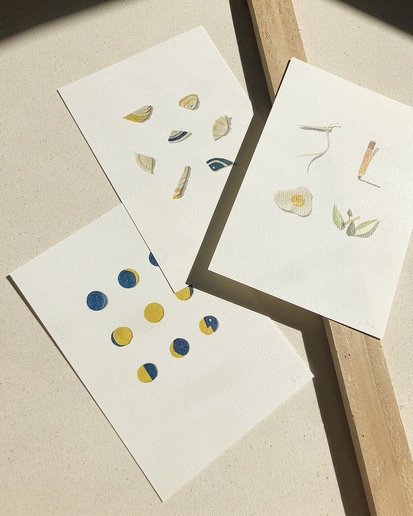 Shells
