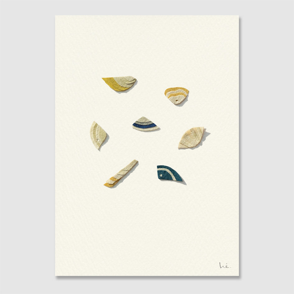 Shells